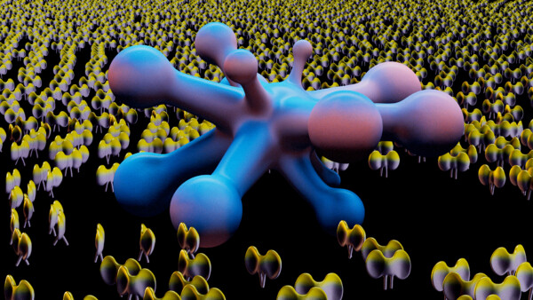 16-copy_2024-04-12-131429_nwiz